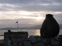 Affe von Gibraltar.jpg